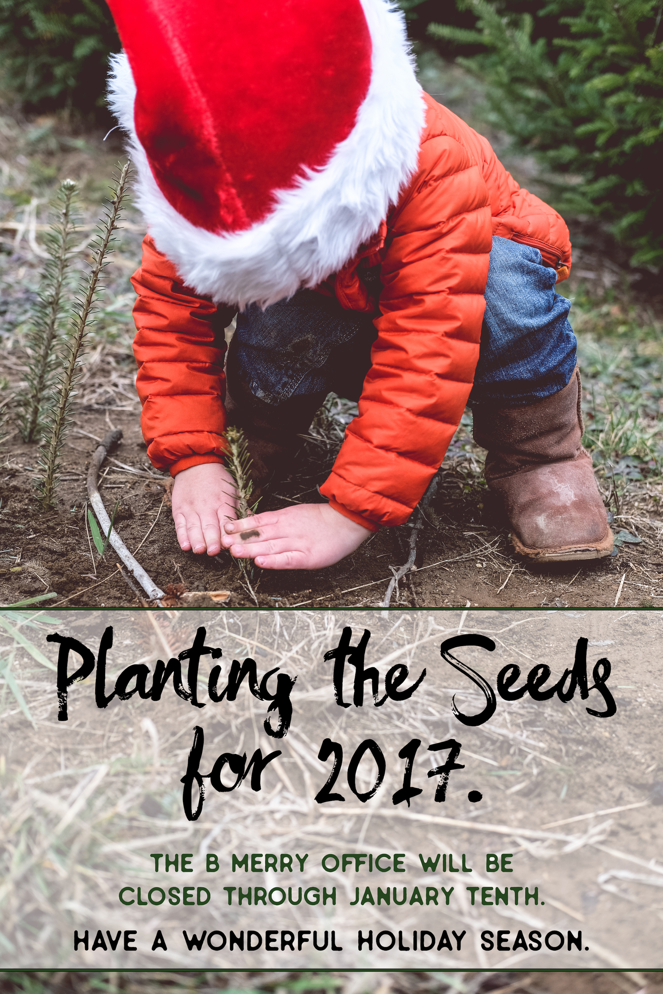 planting-the-seeds